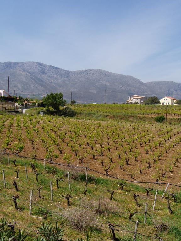 Christina Villas- Minoan Inland Pentamodi Eksteriør bilde